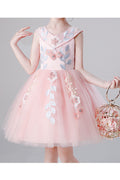 Kid Girl Elegant Flower Emboridered Lace V Neck Evening Dress