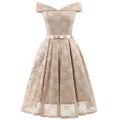 Women Collar Bow Lace Swing Dress
