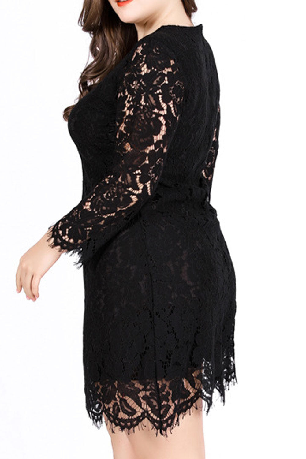 Women Fabulous Floral Lace Decorated Long Sleeve Round Neck Appealing Dress