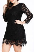 Women Fabulous Floral Lace Decorated Long Sleeve Round Neck Appealing Dress