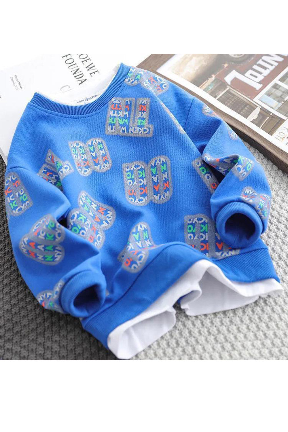 Kids Boys Long Sleeves Loose Fit Graphic Designed Sweatshirt