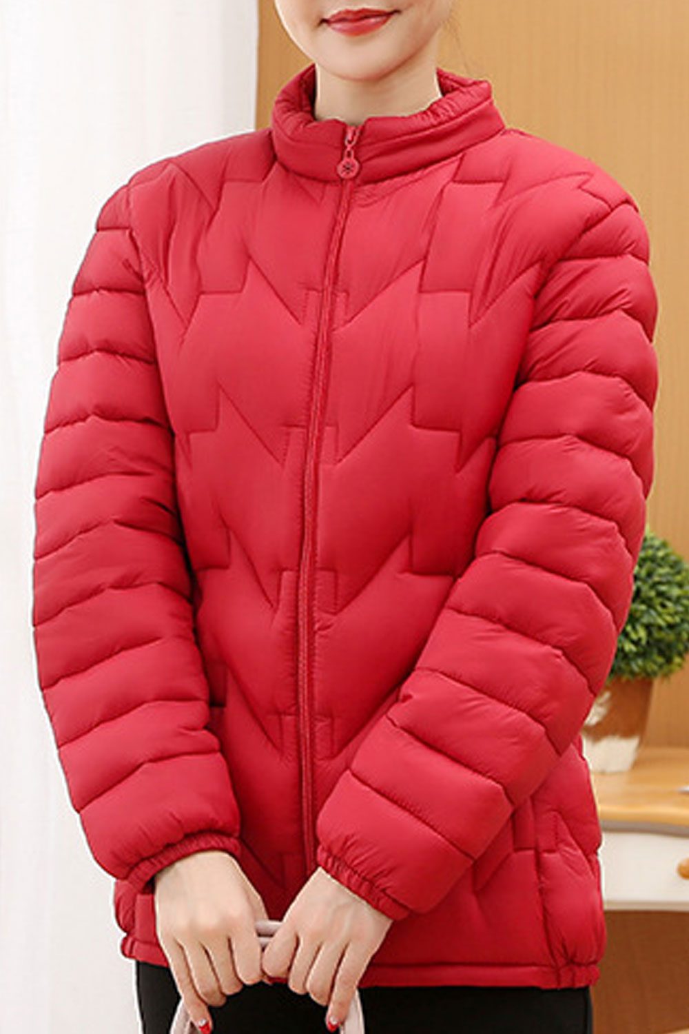 Women Windproof Stand Collar Neck Side Pocket Front Zipp Fastener Dilute Winter Padded Jacket