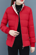 Women Excruciating Hooded Neck Knitted Ribbed Cuff Side Zip Pocket & Easy Front Zip Fastener Soft Winter Padded Jacket