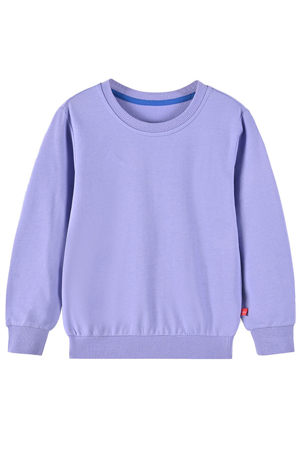 Kid Boys Simple Plain Solid Straight Length Sweatshirt