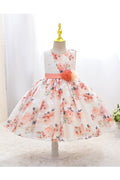 Kids Girls New Round Neck Sleeveless Vest Flower Printed Pincess Style Summer Dress