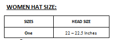 Women Elegant Solid Color Duck Tongue Winter Cap