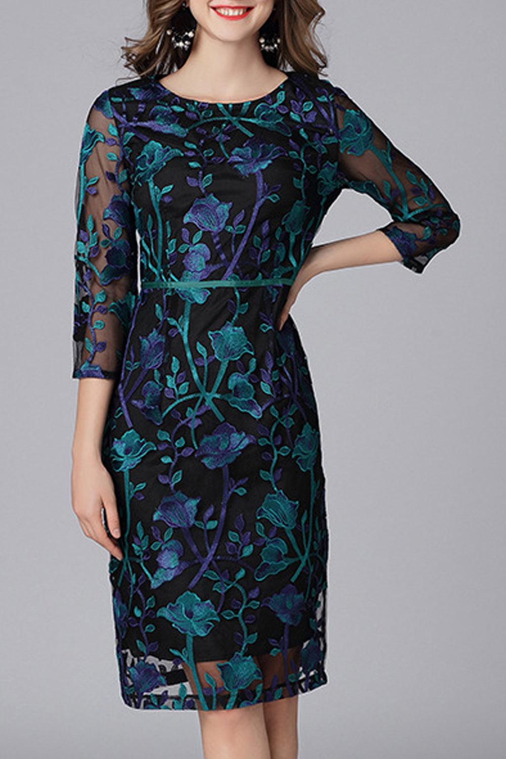Women All Comfort Round Neck Going out Fashion Dress