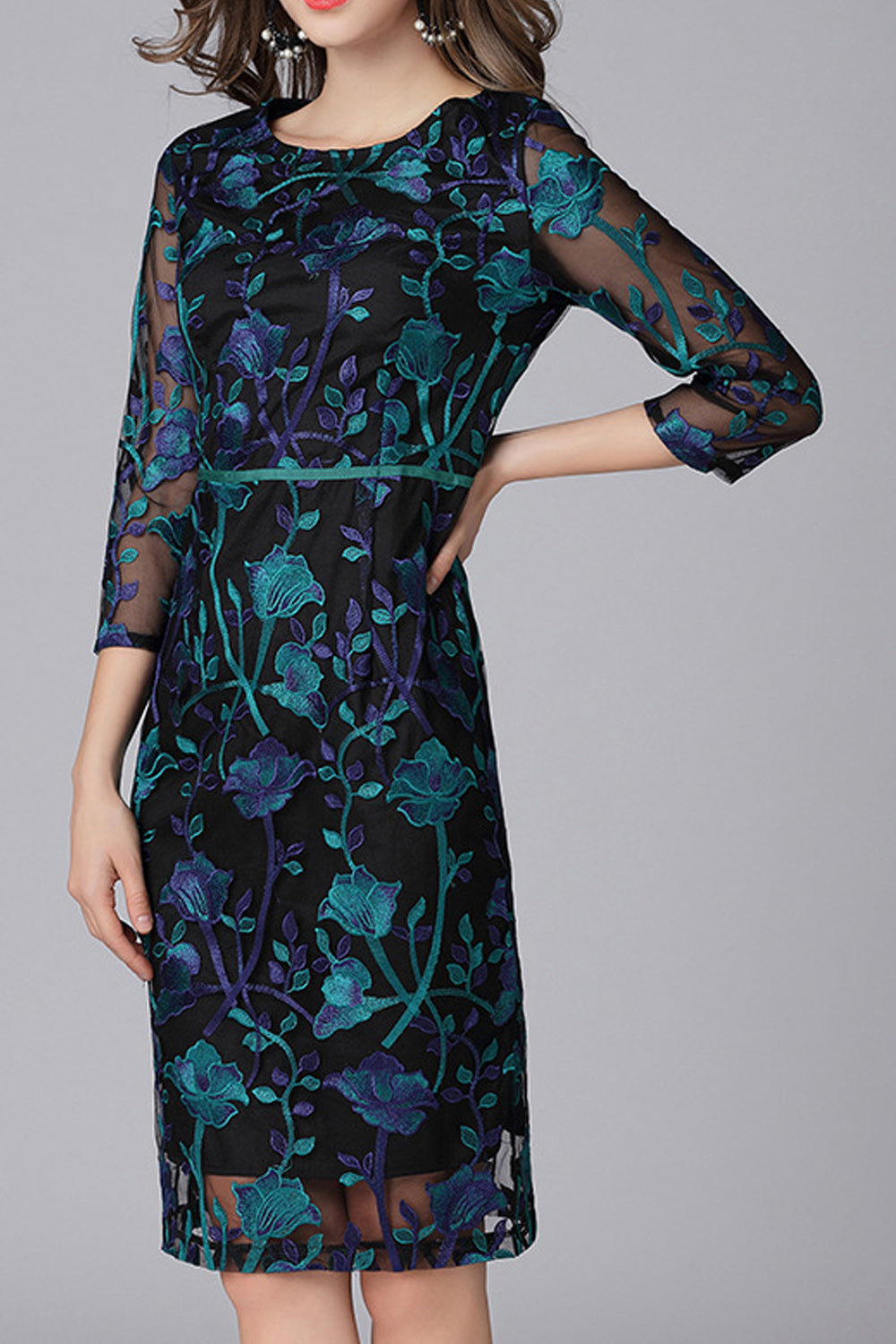 Women All Comfort Round Neck Going out Fashion Dress