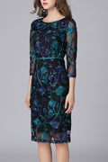 Women All Comfort Round Neck Going out Fashion Dress