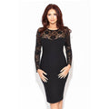 Women Crochet Lace Long Sleeve Slim Fit Pencil Dress