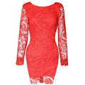Women Lace Stitched Bodycon Long Sleeve Mini Dress