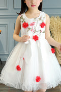 Kids Girls Round Neck Flower Decorated Mesh Dress