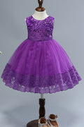 Kids Girls Round Neck Embroidery Dress
