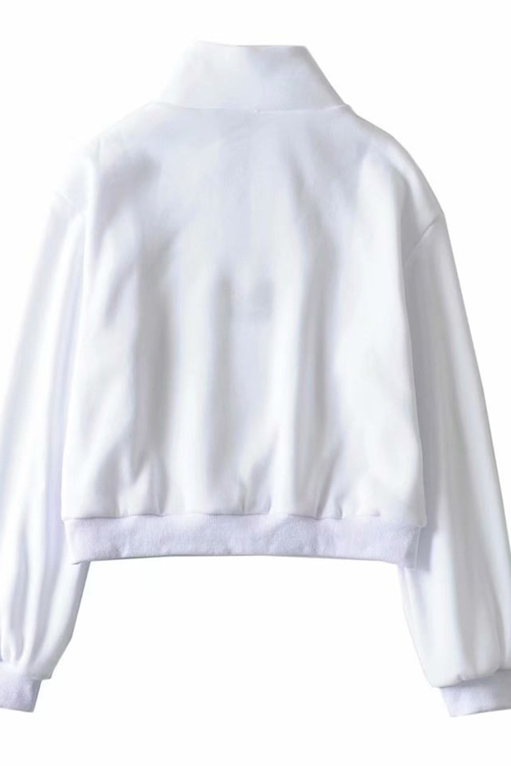 Women Collar Neck Butterfly Embroidered Long Sleeve Soft & Cozy Sweatshirt