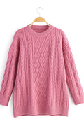 Women Thick Long Sleeve Straight Hem Warm Winter Sweatshirt
