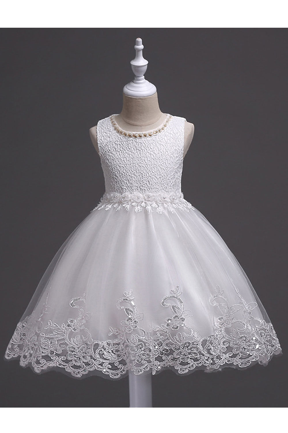 Kids Pearls Decorated Embroidered Mesh Princess Dress