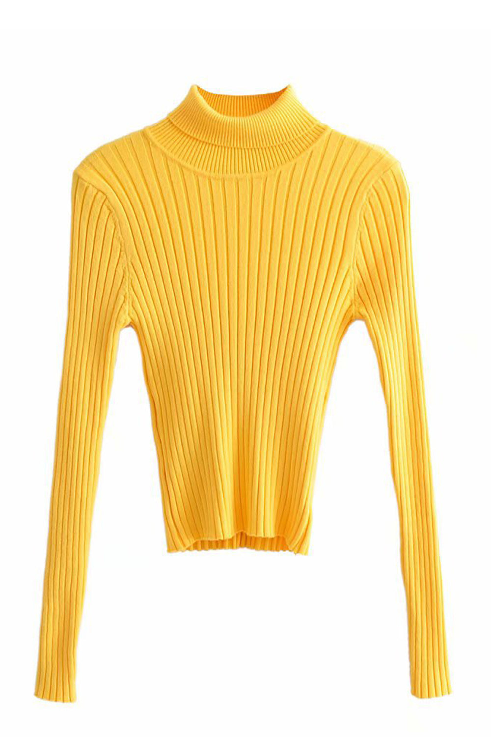 Women Slim Fit Stretchable Long Sleeve Thick Sweatshirt