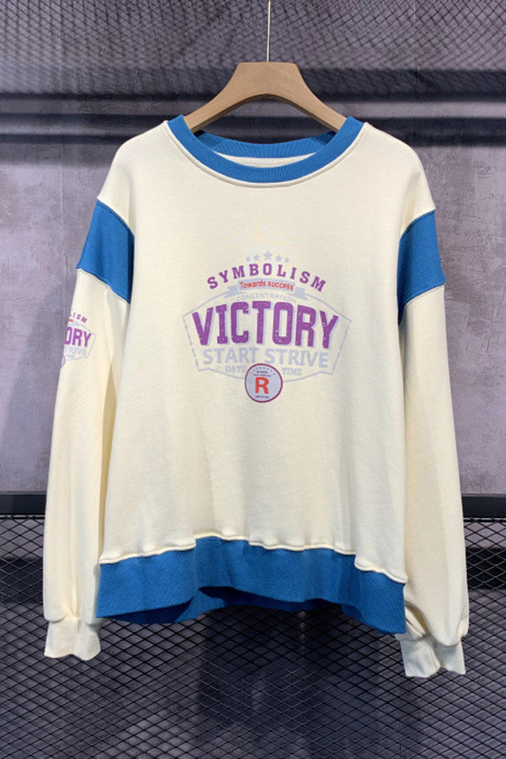 Women Casual Winter Loose Smooth Sweatshirt