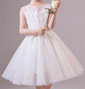 Princess Dress for Girls – Magical, Elegant & Fairy Tale Ready - RAC25ZB291GDRESS