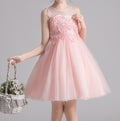 Princess Evening Dress for Girls – Fluffy Yarn Skirt | Flower Girl | Host | Piano Performance - RAC25ZB276GDRESS