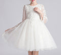 New Mesh Embroidered Princess Dress for Girls – Wedding | Host | Catwalk | Evening Gown - RAC25ZB274GDRESS