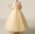 Summer Princess Dress for Girls – Stylish Fluffy Gauze Dress | Piano Performance - RAC25ZB272GDRESS