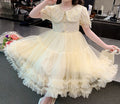 New Autumn Tutu Princess Dress for Girls – Long-Sleeved Cake Skirt Baby Dress - RAC25ZB271GDRESS