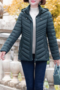 Women Lightweight Soft Padded Solid Colored hooded Neck Zipper Closure Long Sleeve Warm Padded Jacket