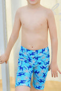 Kids Boys Cute Cartoon Printed Relax Soft Flexible Swimwear Short