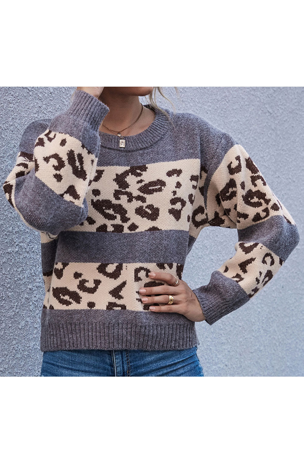 Women Alluring Leopard Pattern Easy Round Neck Warm Long Sleeve Winter Fashion Casual Sweater
