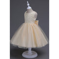 Kids Girls Elegant Round Neck Floral Lace Pattern Sleeveless Evening & Party Dress
