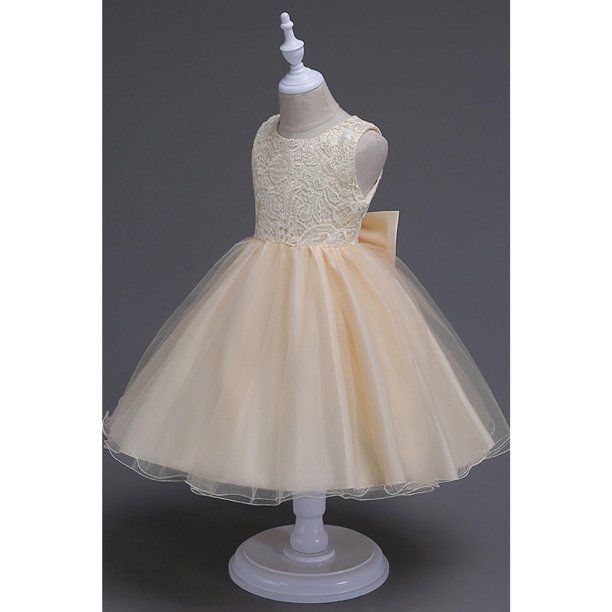 Kids Girls Elegant Round Neck Floral Lace Pattern Sleeveless Evening & Party Dress