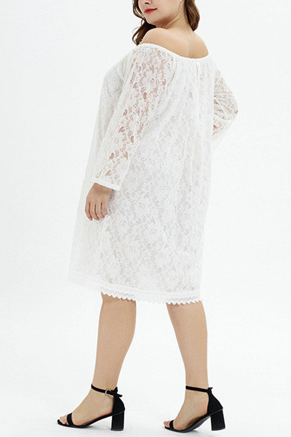 Women Elegant Lace Decorated Off-Shoulder Neck Long Sleeve Superb Loose Fit Shift Dress