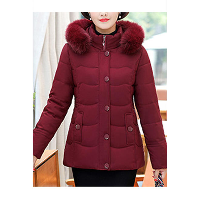 Women Elegant Hood Neck Solid Colored Warm Long Sleeve Pretty Padded Jacket