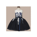 Kids Girls Lace Waist Bow Ball Gown Dress