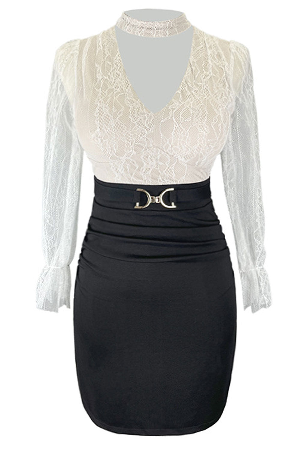 Women Deep V-Neck Long Sleeves Bodycon Dress