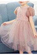 Kids Girls Solid Colore Fluffy Fashionable Princess Dress