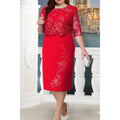 Women Zipper Back Embroidered Lace Dress