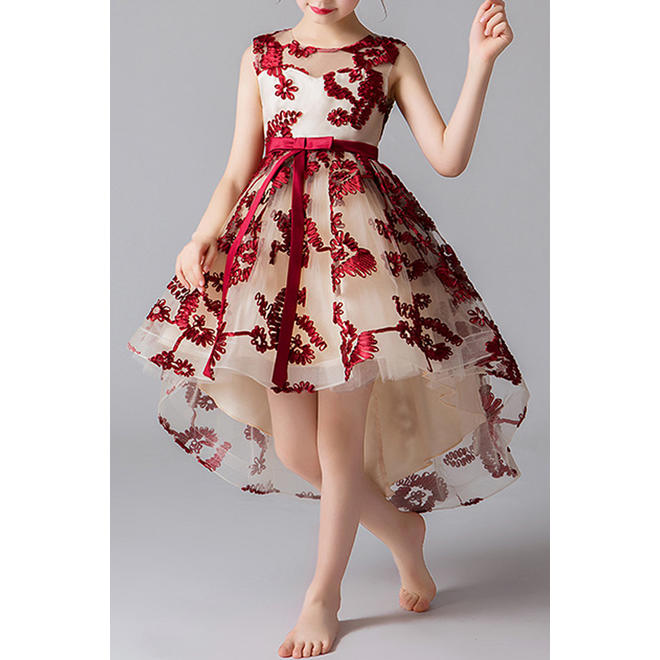 Kids Girls Beautiful Fluffy Skirt Ball Gown Fancy Dress