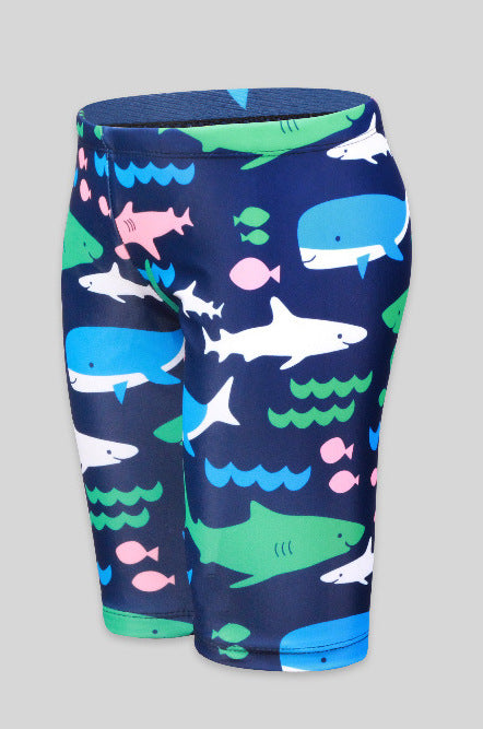 Boys' Floral Polka Dot Swimsuit (41)