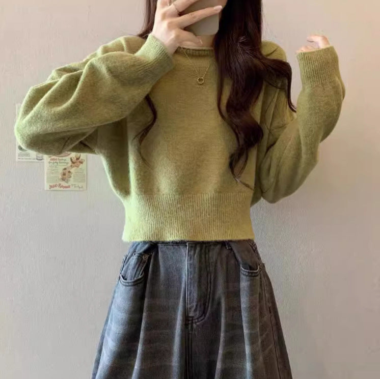 Women's Cardigan Pullover Sweater (109)