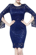 Women Round Neck Lace Decorated Bodycon Dress