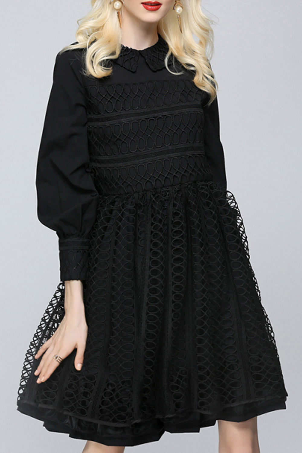 Women Long Sleeve Zipper Back Embroidered Dress