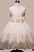 Kids Girls Lace Bust Flower Waist Princess Dress