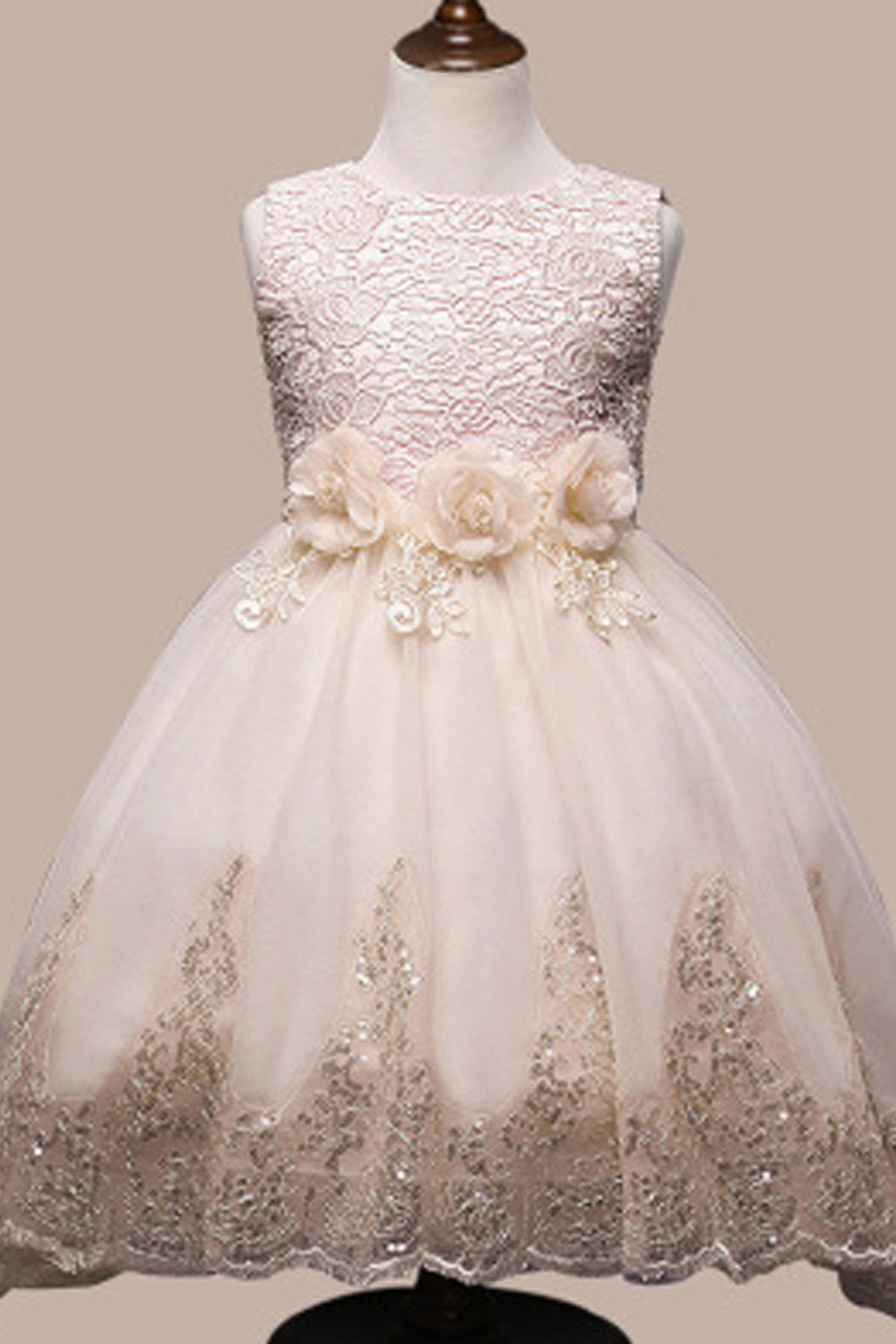 Kids Girls Lace Bust Flower Waist Princess Dress