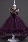 Baby Girls FIt Waist Fancy Long Sheer Hem Dress