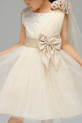Kids Baby Girls Long Sleeved Bow Belt Party Dress