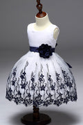 Kids Sleeveless Ball Gown Hem Fancy Dress