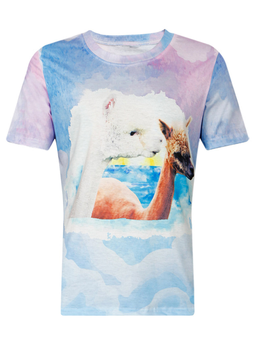 Women Round Neck Loose Style T-Shirt