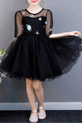 Kids Girls Embroidered Lace Cute Mesh Dress